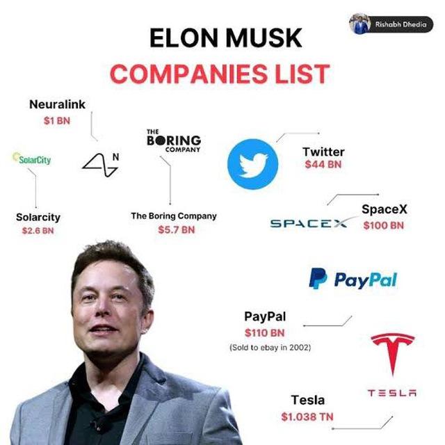 ELON MUSK GROUP INVESTMENT