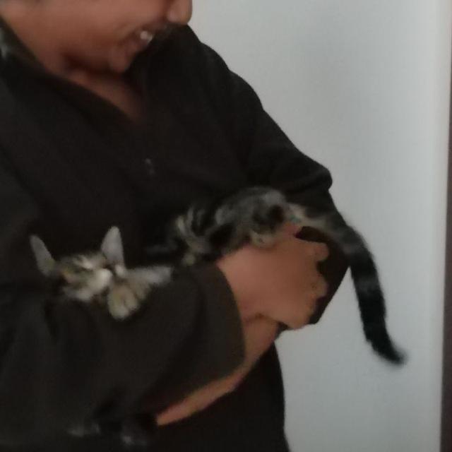#Piccolacrazy