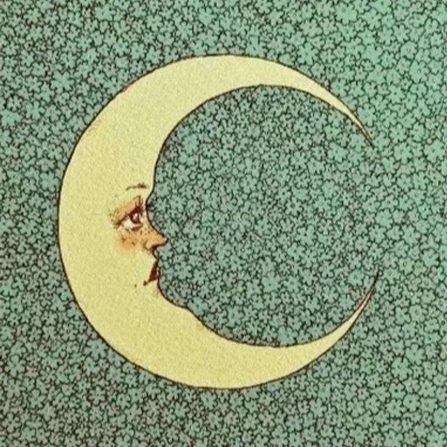 شّـاه زِنان