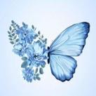 أَثرُ الفراشَّةة " 🦋🌿