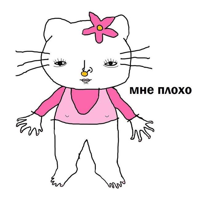 Привет катёнок