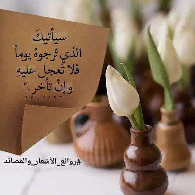 كتب وروابط لغة عربية للناطقين بها ولغير الناطقين بها