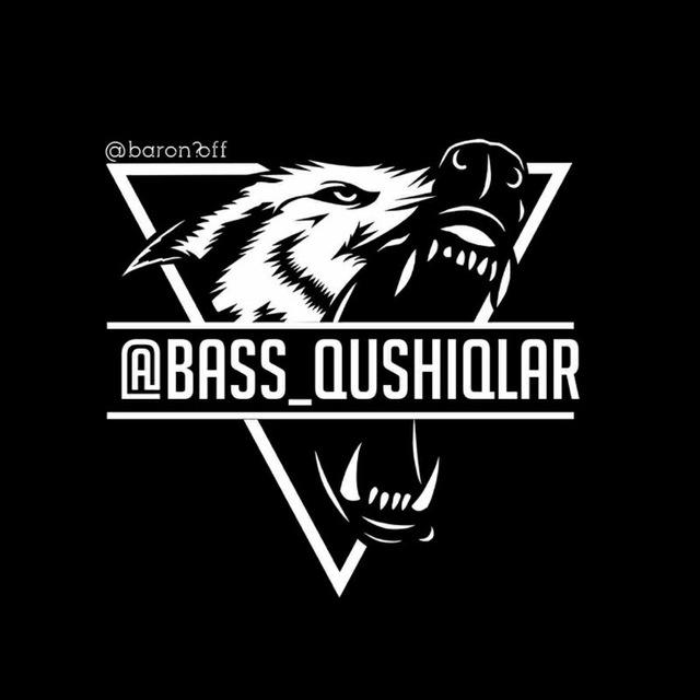BASS QUSHIQLAR