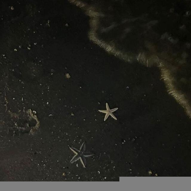 ㅤ