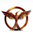 Phoenix Mentorship Official (GPSC mains by phoenix)