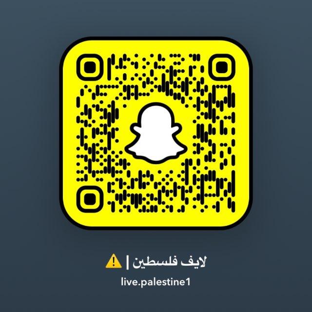 🔻لايف فلسطين🔻