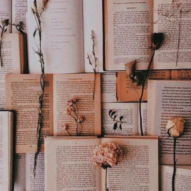 Sammlung von Zitaten aus Büchern 📚