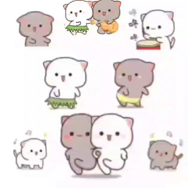 Stickers and gifs❤️