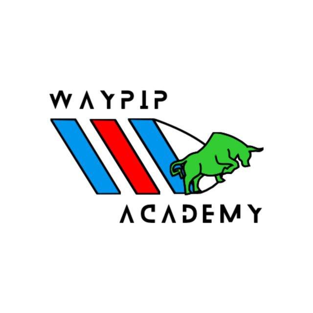 WAYPIP📊