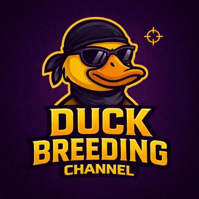 DUCK BREEDING Channel
