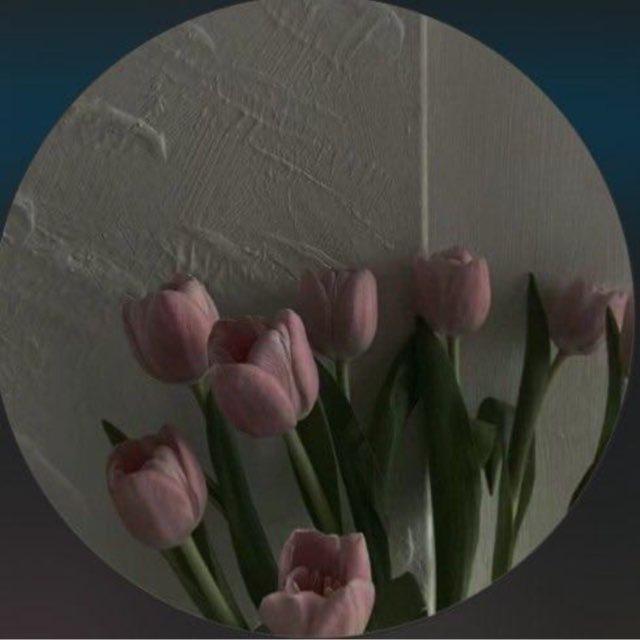 ﴿ وَاغْفِرْ لِأمي ﴾