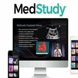 MedStudy Videos Medquest Videos 2022