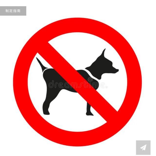 灰产曝光频道