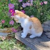 𝑹𝒆𝒗𝒊𝒂 °｡⋆💕