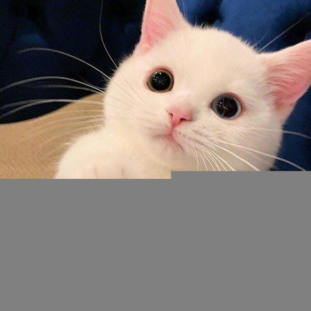 潇潇的男♡娘教室