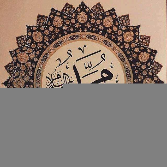 قناة || محمد محمود فكري