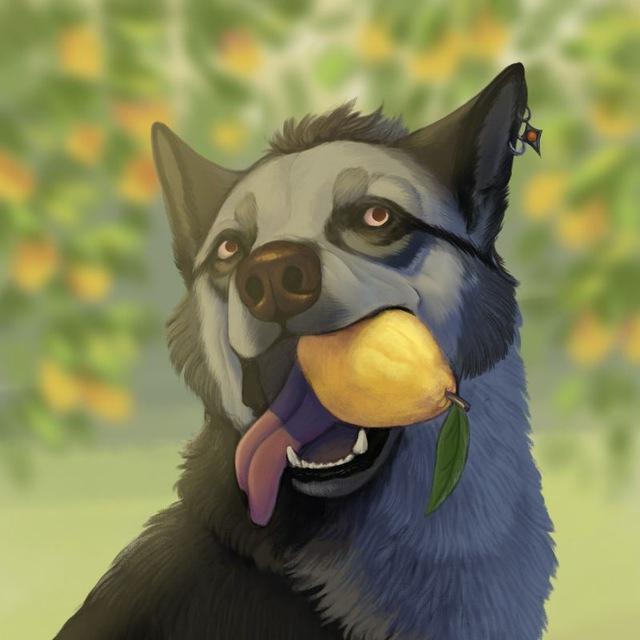 Ravi Art