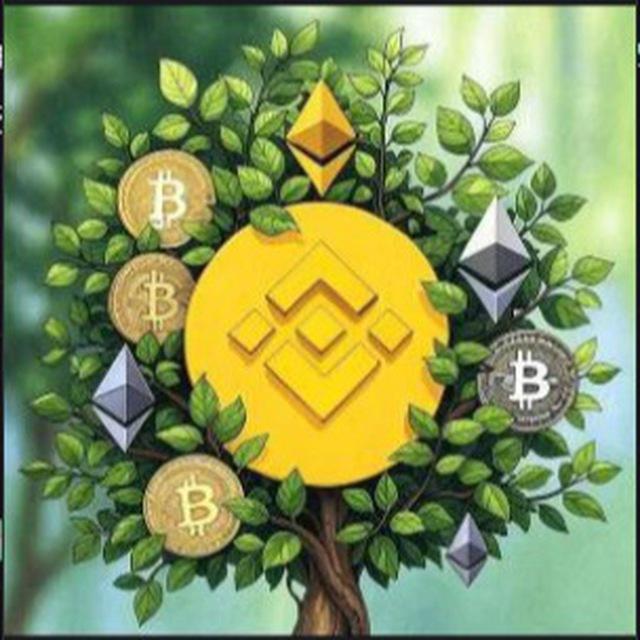 黄果之年英文版 (Year of Yellow Fruit) CTO