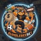 BumblebeeBet🐝 Sport Analytics