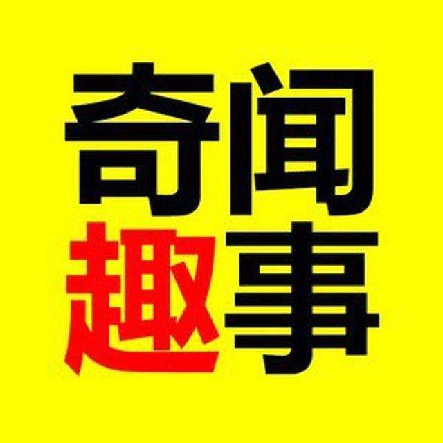 奇闻趣事吃瓜