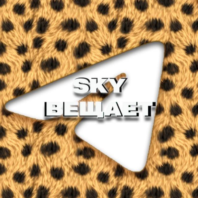 Вещает Sky Team | Арбитраж трафика