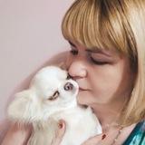 Щенки чихуахуа Milagro Bonita