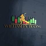 WILLIAMS FX TRADING™