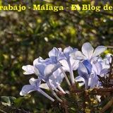 Blog Empleo - Málaga