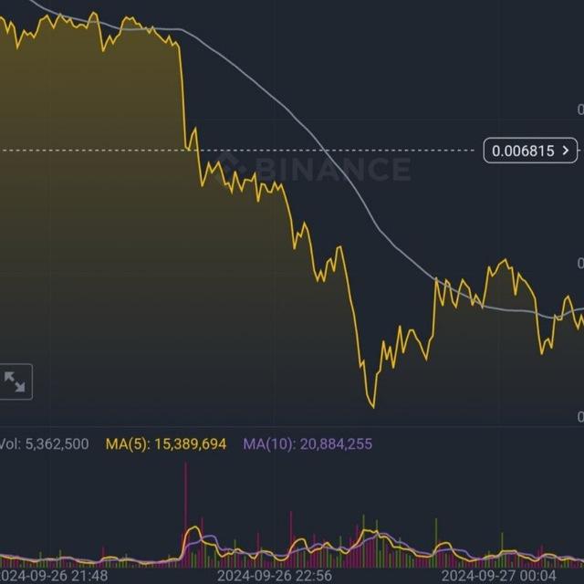 Forex Investment platform 👌