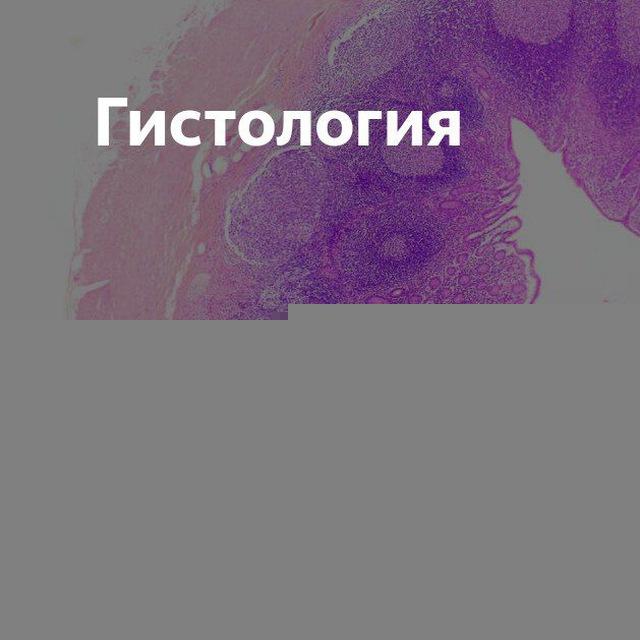 Гиста💕🔬
