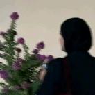 نُـکتـورا | بـانـوامـیـری