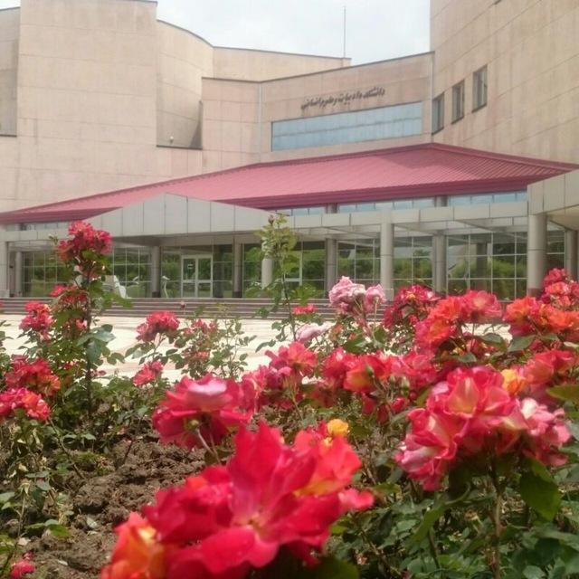 آموزش دانشکده ادبیات