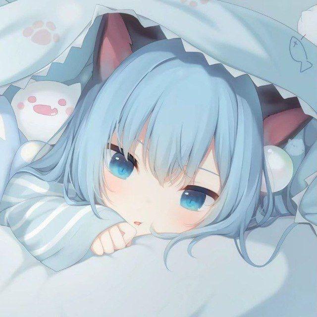 猫羽雫