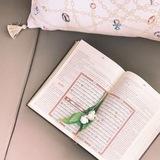 إعلان حلقات تحفيظ مجانية🎯