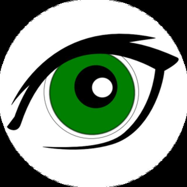 Noun Spy