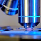 Medical Labortary Scientist