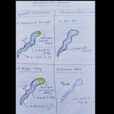 📚Microbiology notebook|MBBS 2nd year notes