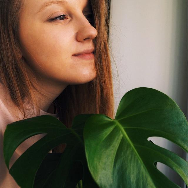 Evergreen.room
