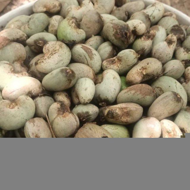 ហ៊ាអៀង​ ទិញគ្រាប់​ ស្វាយចន្ទី