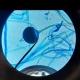 Microbiology MD Notes