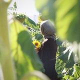 میمِ ماه ؛