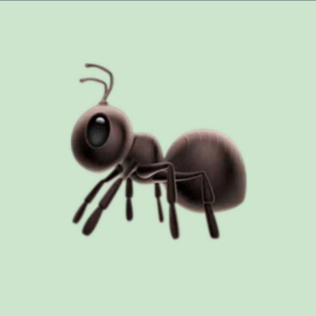 Real Estate by ANT