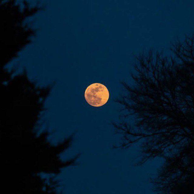 the moon