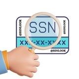SSN DL MVR Lookup