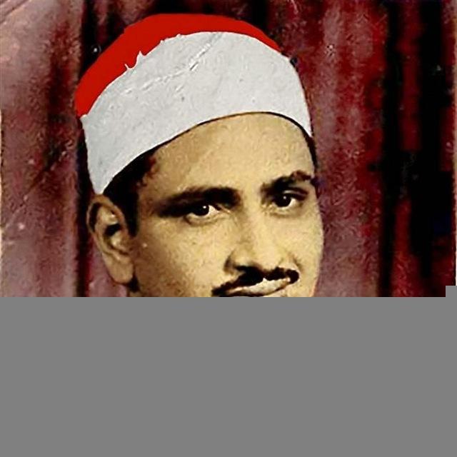 مصحف المنشاوي مقسم أرباع💚🌿