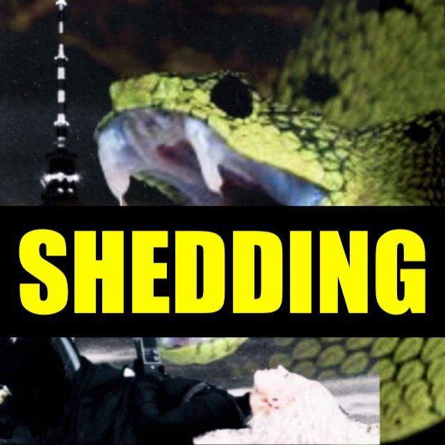 SHEDDING⚠️TOXIC SPIKES⚠️IMPFGERUCH⚠️5G