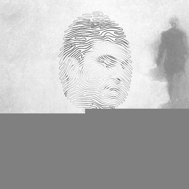 مرتضی بهرامی| MortezaBahrami