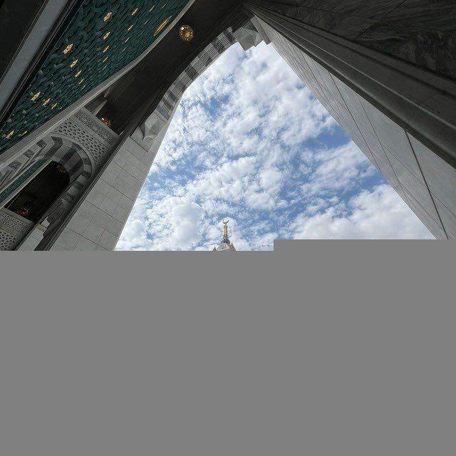 ﴿ وَاذْكُر رَبّك إِذَا نَسِيتَ﴾