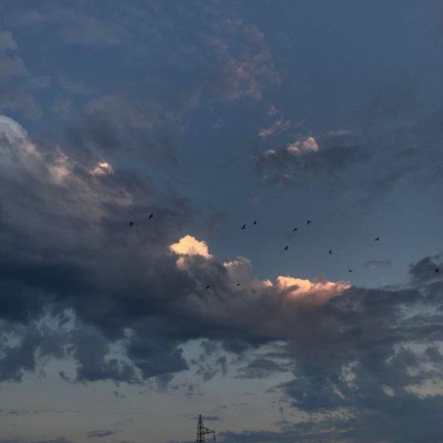 Theskies