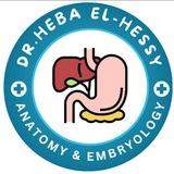 Anatomy insight (62) 3rd year ( Dr.heba Elhessy)